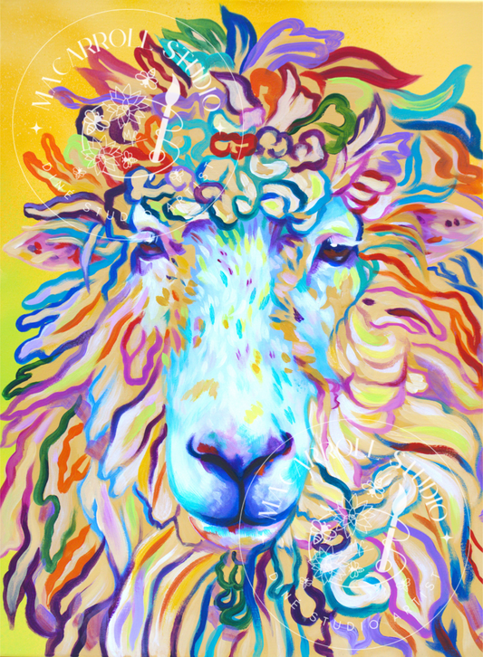 Dibé Color Blast (5"x7")